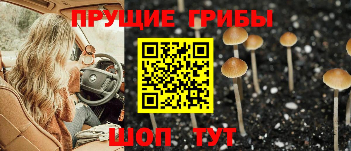 даркнет сайт  Вход с VPN  Долгопрудный  Галлюциногенные грибы Cubensis 